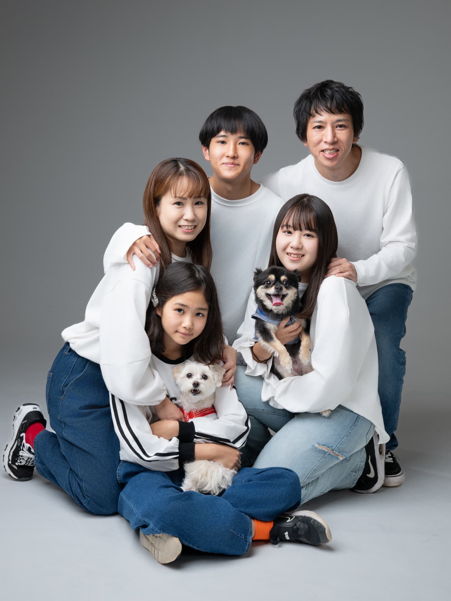 犬の撮影