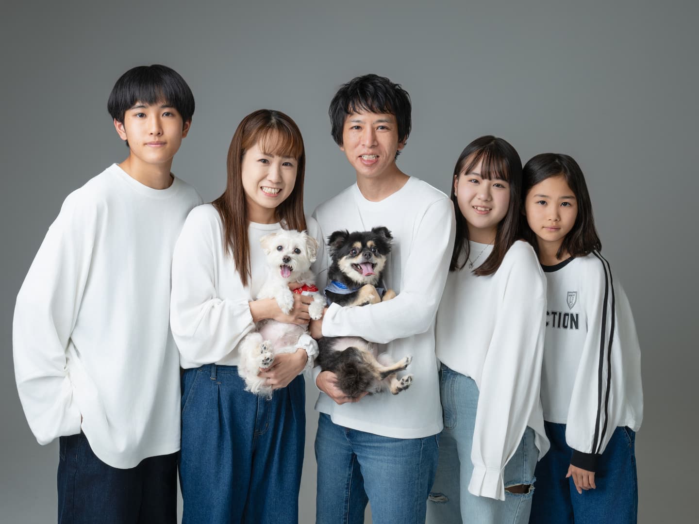 犬の撮影